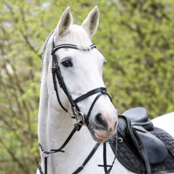 byWeber Trense "Hugo" sort/slv