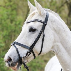 byWeber Trense "Hugo" sort/slv