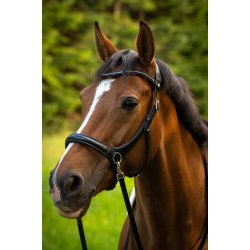 byWeber Trense Bidls "Austin" sort/slv