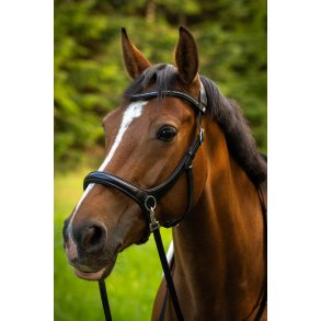 byWeber Trense Bidls 