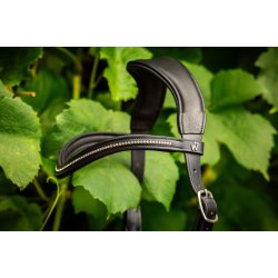 byWeber Trense Bidls "Austin" sort/slv