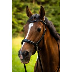 byWeber Trense Bidls "Austin" sort/slv