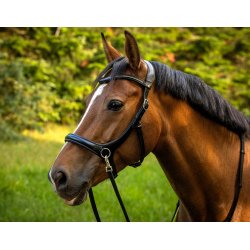 byWeber Trense Bidls "Austin" sort/slv