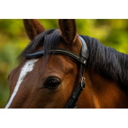 byWeber Trense Bidls "Austin" sort/slv