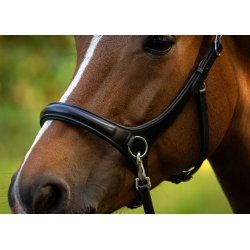 byWeber Trense Bidls "Austin" sort/slv