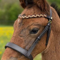 ByWeber Showgrime Fl "Luca" brun