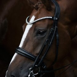 byWeber Kandar "Mary" sort/sort/slv