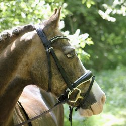 byWeber Trense "Penelope" sort