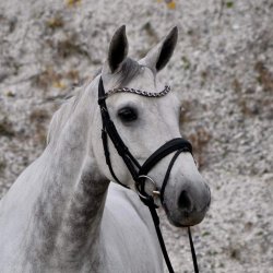 byWeber Trense "Rozetta" sort