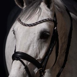 byWeber Trense "Rozetta" sort