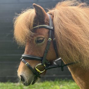 byWeber Trense Shetland 