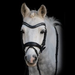 byWeber Trense "Sofia" sort